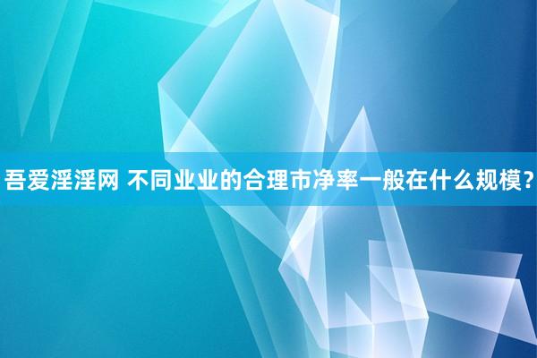 吾爱淫淫网 不同业业的合理市净率一般在什么规模？