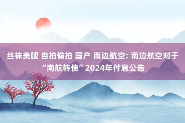 丝袜美腿 自拍偷拍 国产 南边航空: 南边航空对于“南航转债”2024年付息公告