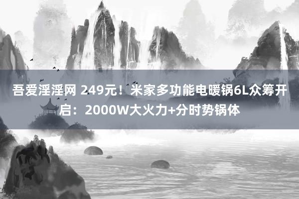吾爱淫淫网 249元！米家多功能电暖锅6L众筹开启：2000W大火力+分时势锅体