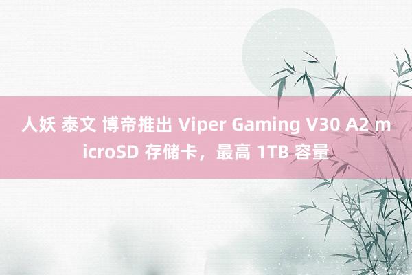人妖 泰文 博帝推出 Viper Gaming V30 A2 microSD 存储卡，最高 1TB 容量
