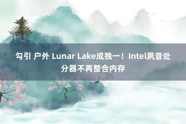 勾引 户外 Lunar Lake成独一！Intel夙昔处分器不再整合内存