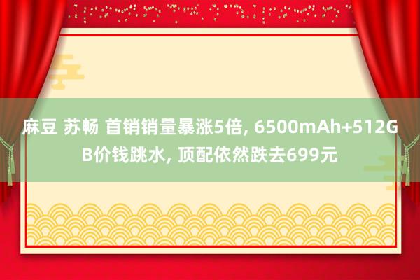 麻豆 苏畅 首销销量暴涨5倍, 6500mAh+512GB价钱跳水, 顶配依然跌去699元