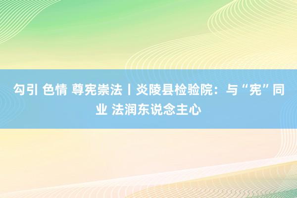 勾引 色情 尊宪崇法丨炎陵县检验院：与“宪”同业 法润东说念主心
