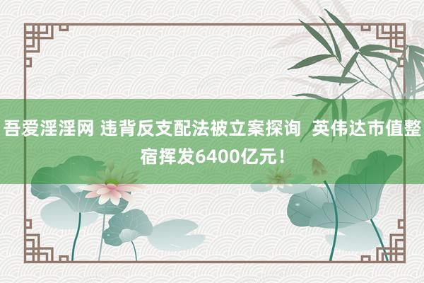吾爱淫淫网 违背反支配法被立案探询  英伟达市值整宿挥发6400亿元！