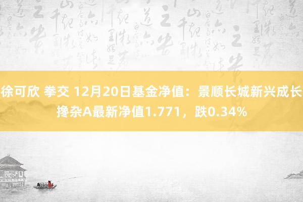 徐可欣 拳交 12月20日基金净值：景顺长城新兴成长搀杂A最新净值1.771，跌0.34%