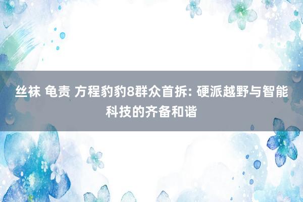 丝袜 龟责 方程豹豹8群众首拆: 硬派越野与智能科技的齐备和谐
