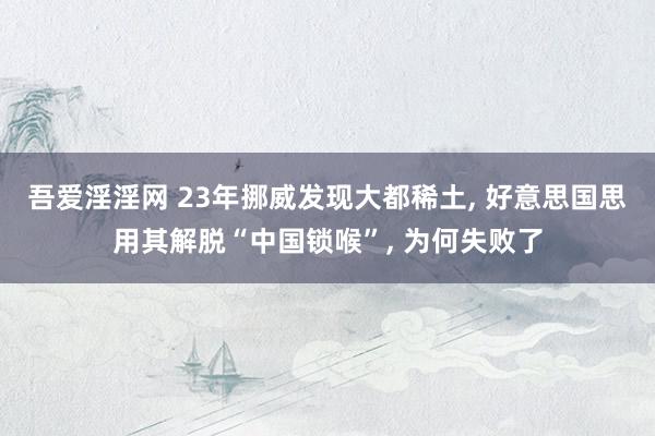 吾爱淫淫网 23年挪威发现大都稀土, 好意思国思用其解脱“中国锁喉”, 为何失败了