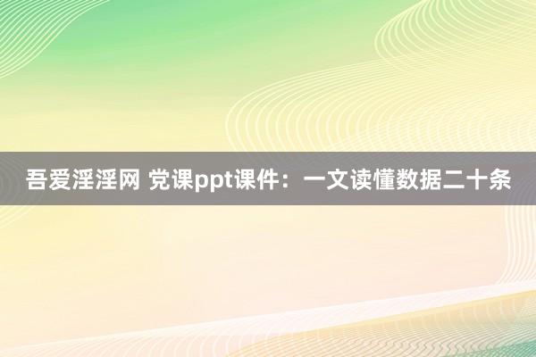 吾爱淫淫网 党课ppt课件：一文读懂数据二十条