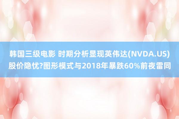 韩国三级电影 时期分析显现英伟达(NVDA.US)股价隐忧?图形模式与2018年暴跌60%前夜雷同