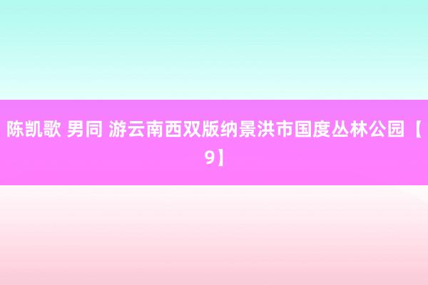 陈凯歌 男同 游云南西双版纳景洪市国度丛林公园【9】