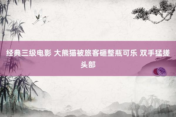 经典三级电影 大熊猫被旅客砸整瓶可乐 双手猛搓头部