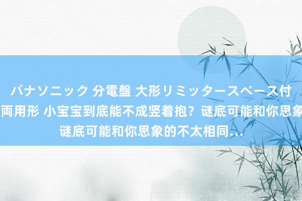 パナソニック 分電盤 大形リミッタースペース付 露出・半埋込両用形 小宝宝到底能不成竖着抱？谜底可能和你思象的不太相同…