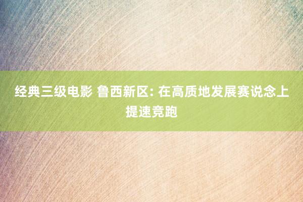 经典三级电影 鲁西新区: 在高质地发展赛说念上提速竞跑