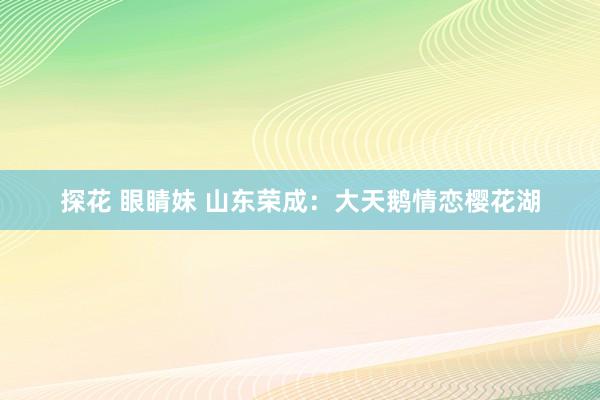 探花 眼睛妹 山东荣成：大天鹅情恋樱花湖