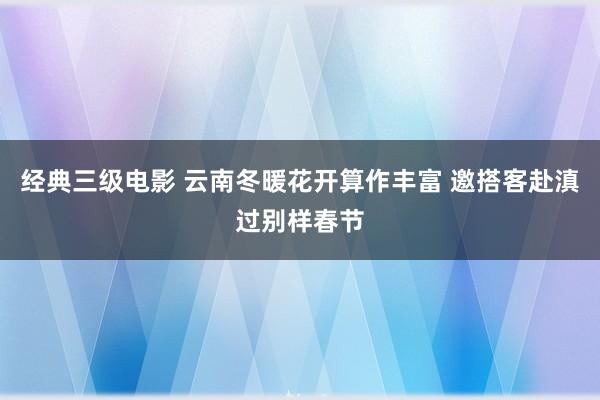经典三级电影 云南冬暖花开算作丰富 邀搭客赴滇过别样春节