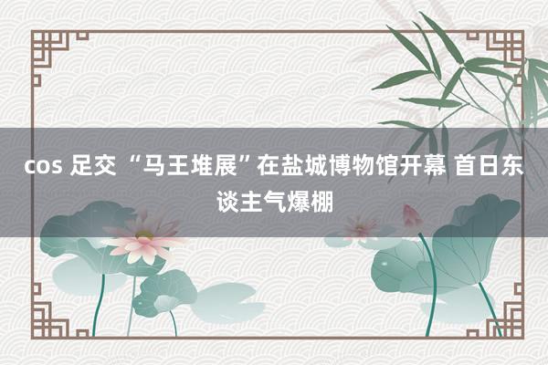 cos 足交 “马王堆展”在盐城博物馆开幕 首日东谈主气爆棚
