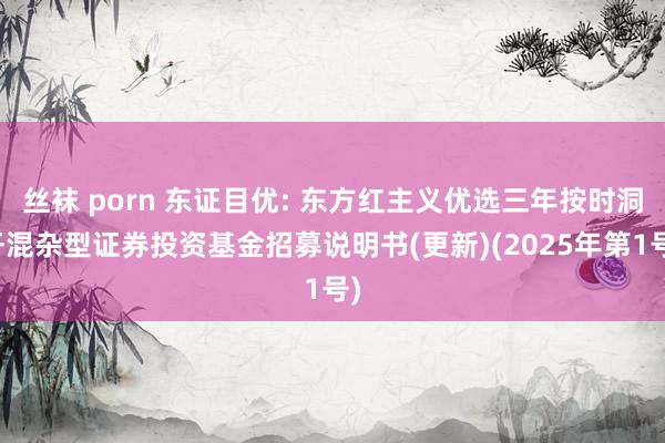 丝袜 porn 东证目优: 东方红主义优选三年按时洞开混杂型证券投资基金招募说明书(更新)(2025年第1号)