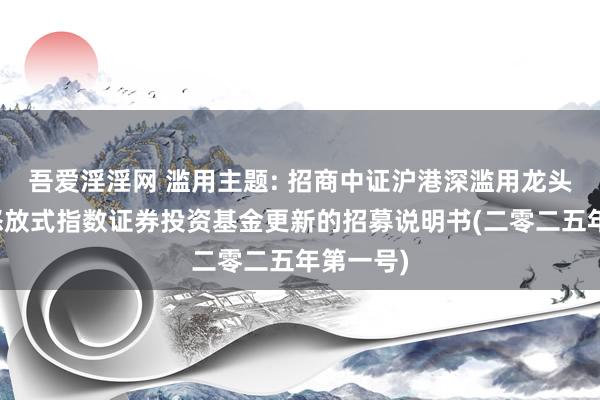 吾爱淫淫网 滥用主题: 招商中证沪港深滥用龙头往来型怒放式指数证券投资基金更新的招募说明书(二零二五年第一号)