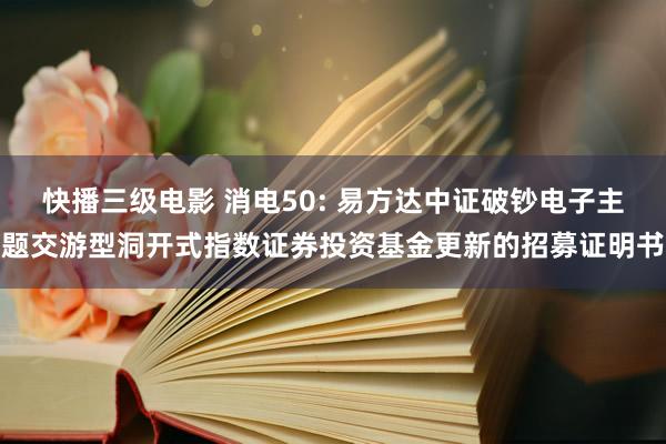 快播三级电影 消电50: 易方达中证破钞电子主题交游型洞开式指数证券投资基金更新的招募证明书