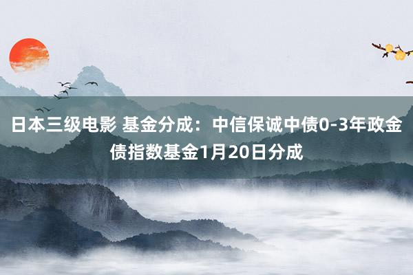 日本三级电影 基金分成：中信保诚中债0-3年政金债指数基金1月20日分成