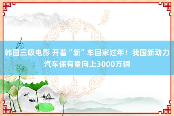韩国三级电影 开着“新”车回家过年！我国新动力汽车保有量向上3000万辆