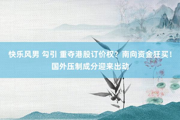 快乐风男 勾引 重夺港股订价权？南向资金狂买！国外压制成分迎来出动