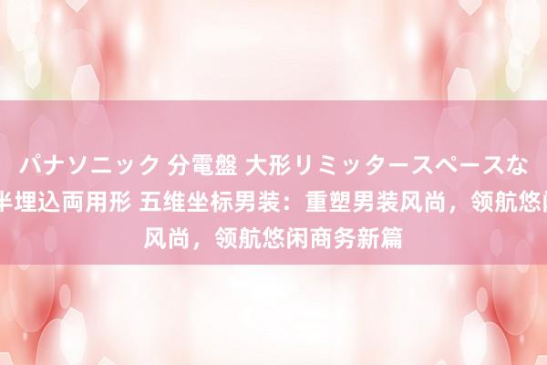 パナソニック 分電盤 大形リミッタースペースなし 露出・半埋込両用形 五维坐标男装：重塑男装风尚，领航悠闲商务新篇