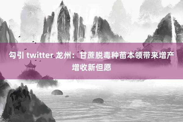 勾引 twitter 龙州：甘蔗脱毒种苗本领带来增产增收新但愿