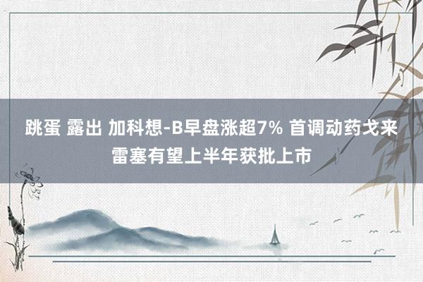 跳蛋 露出 加科想-B早盘涨超7% 首调动药戈来雷塞有望上半年获批上市