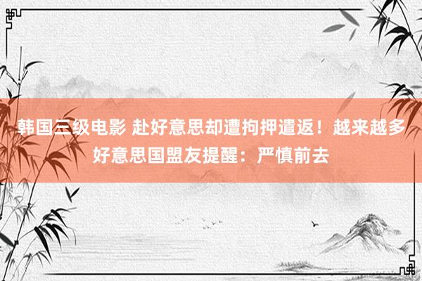 韩国三级电影 赴好意思却遭拘押遣返！越来越多好意思国盟友提醒：严慎前去