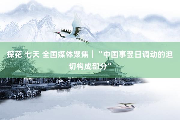 探花 七天 全国媒体聚焦｜“中国事翌日调动的迫切构成部分”