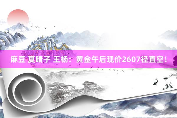 麻豆 夏晴子 王杨：黄金午后现价2607径直空！