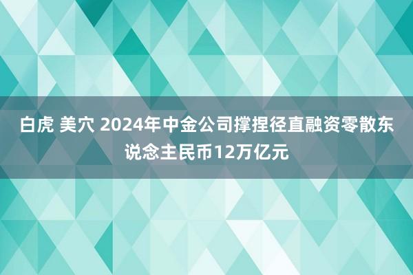 白虎 美穴 2024年中金公司撑捏径直融资零散东说念主民币12万亿元