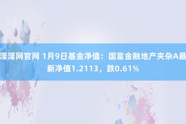 淫淫网官网 1月9日基金净值：国富金融地产夹杂A最新净值1.2113，跌0.61%