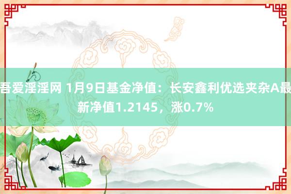 吾爱淫淫网 1月9日基金净值：长安鑫利优选夹杂A最新净值1.2145，涨0.7%