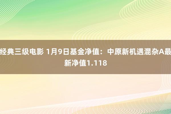 经典三级电影 1月9日基金净值：中原新机遇混杂A最新净值1.118