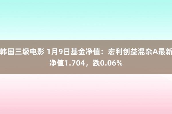 韩国三级电影 1月9日基金净值：宏利创益混杂A最新净值1.704，跌0.06%