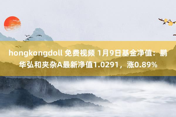 hongkongdoll 免费视频 1月9日基金净值：鹏华弘和夹杂A最新净值1.0291，涨0.89%