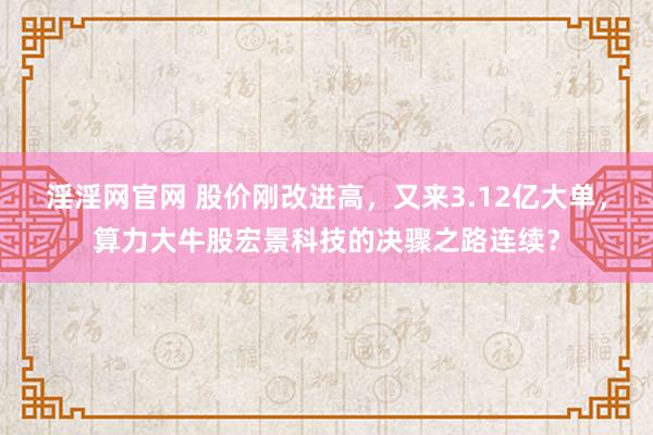 淫淫网官网 股价刚改进高，又来3.12亿大单，算力大牛股宏景科技的决骤之路连续？