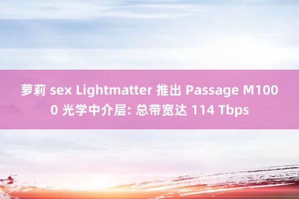 萝莉 sex Lightmatter 推出 Passage M1000 光学中介层: 总带宽达 114 Tbps
