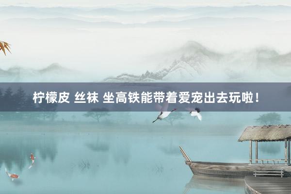柠檬皮 丝袜 坐高铁能带着爱宠出去玩啦！