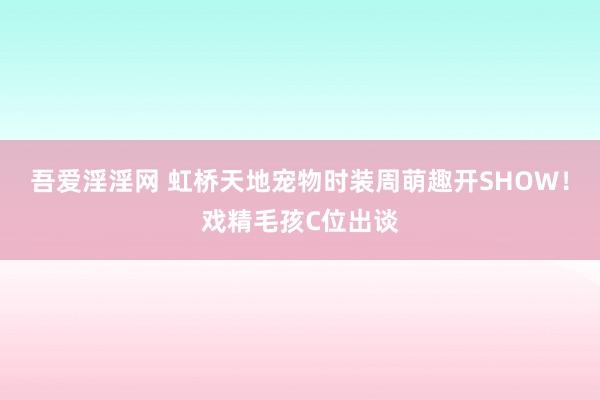 吾爱淫淫网 虹桥天地宠物时装周萌趣开SHOW！戏精毛孩C位出谈