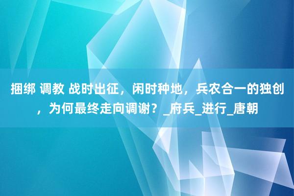捆绑 调教 战时出征，闲时种地，兵农合一的独创，为何最终走向调谢？_府兵_进行_唐朝