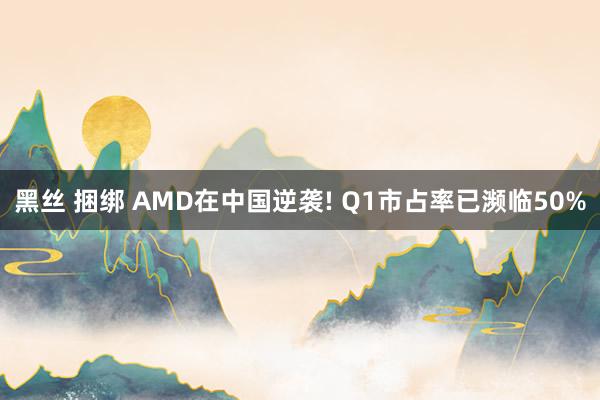 黑丝 捆绑 AMD在中国逆袭! Q1市占率已濒临50%