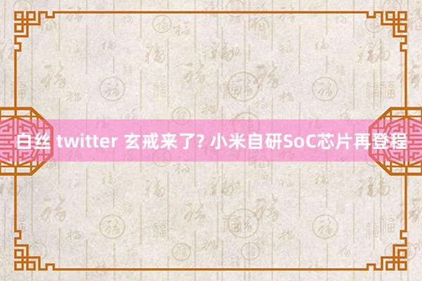 白丝 twitter 玄戒来了? 小米自研SoC芯片再登程