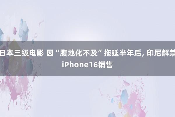 日本三级电影 因“腹地化不及”拖延半年后, 印尼解禁iPhone16销售