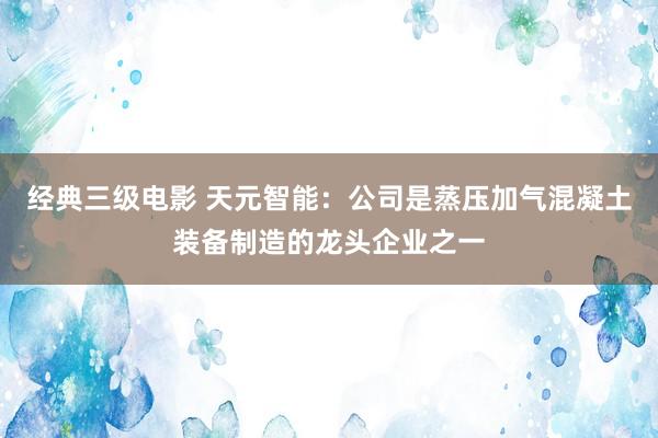 经典三级电影 天元智能：公司是蒸压加气混凝土装备制造的龙头企业之一
