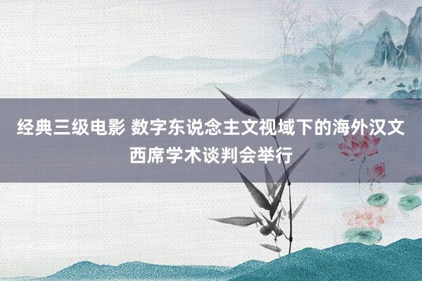 经典三级电影 数字东说念主文视域下的海外汉文西席学术谈判会举行
