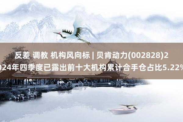 反差 调教 机构风向标 | 贝肯动力(002828)2024年四季度已露出前十大机构累计合手仓占比5.22%
