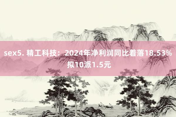sex5. 精工科技：2024年净利润同比着落18.53% 拟10派1.5元